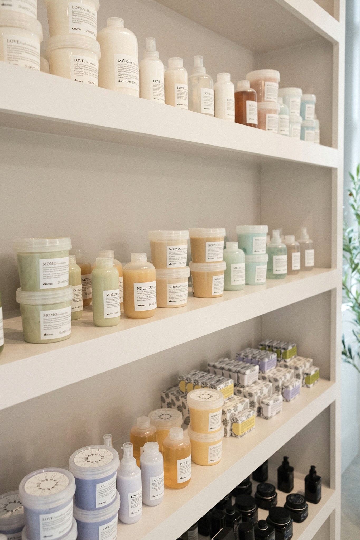 Close-up of a tree stump showing growth rings and a textured brown wood surface.