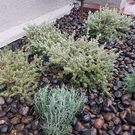 Apartment Patio project