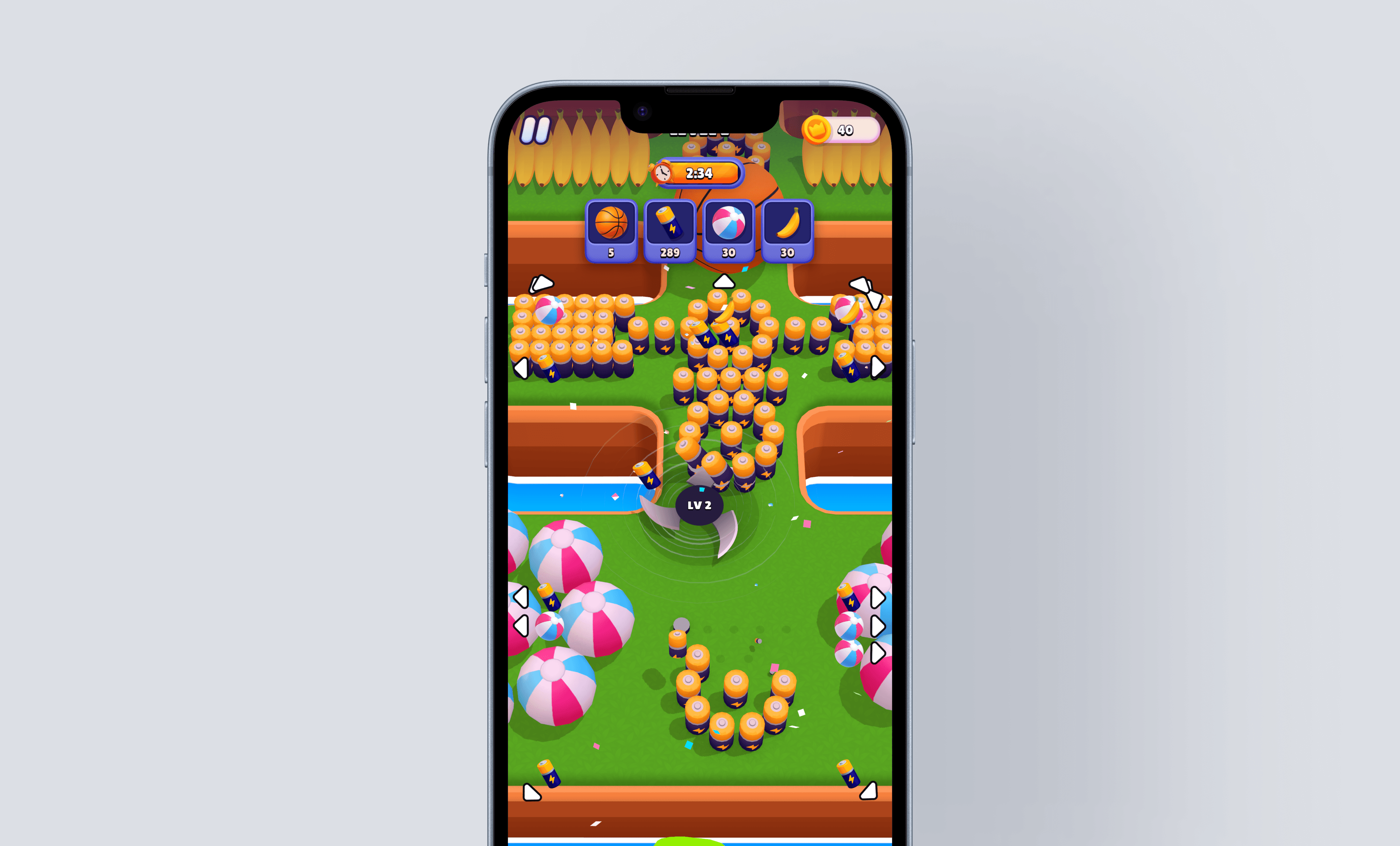 Large Project Gallery Image #1