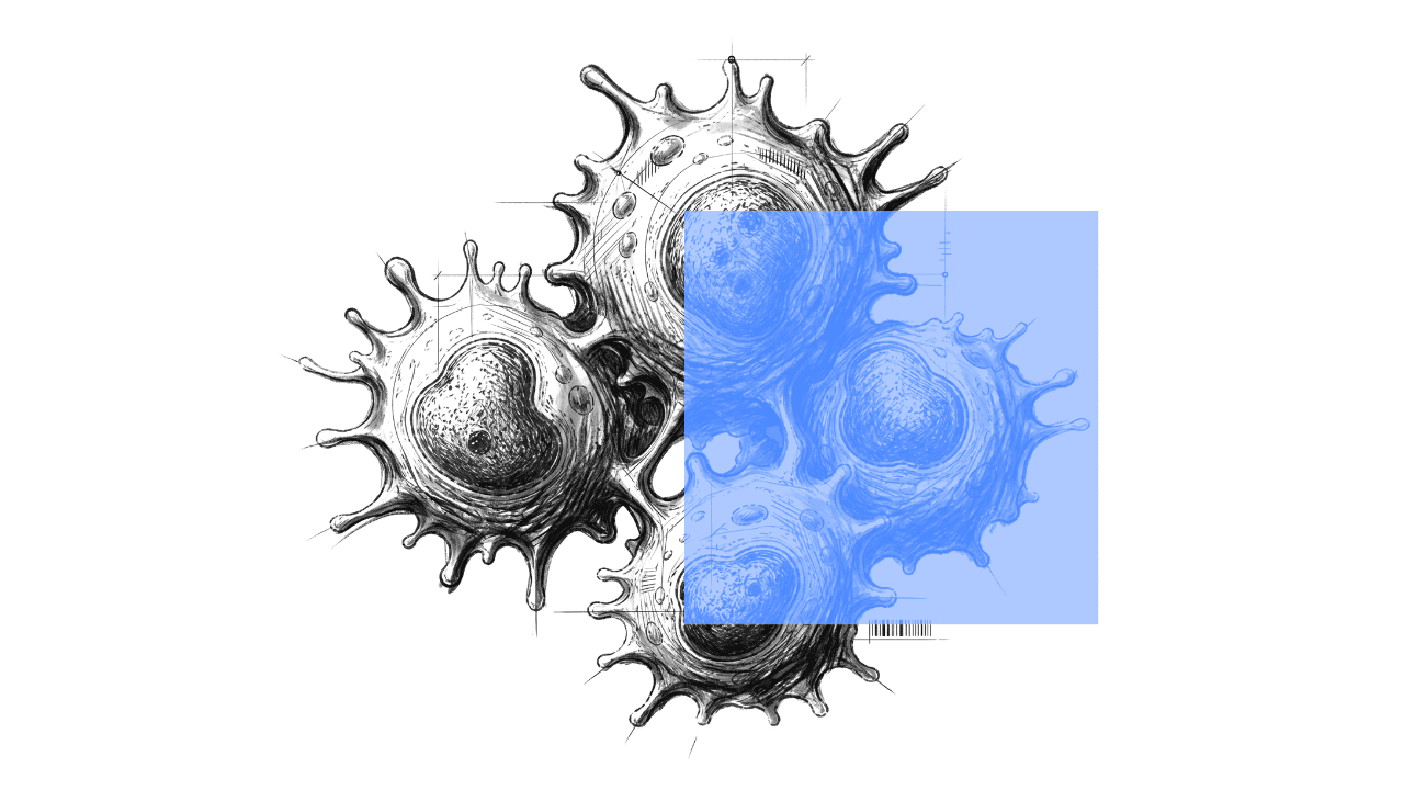Scientific visualization of oncology applications for MDL-4102, a selective BRD4 inhibitor