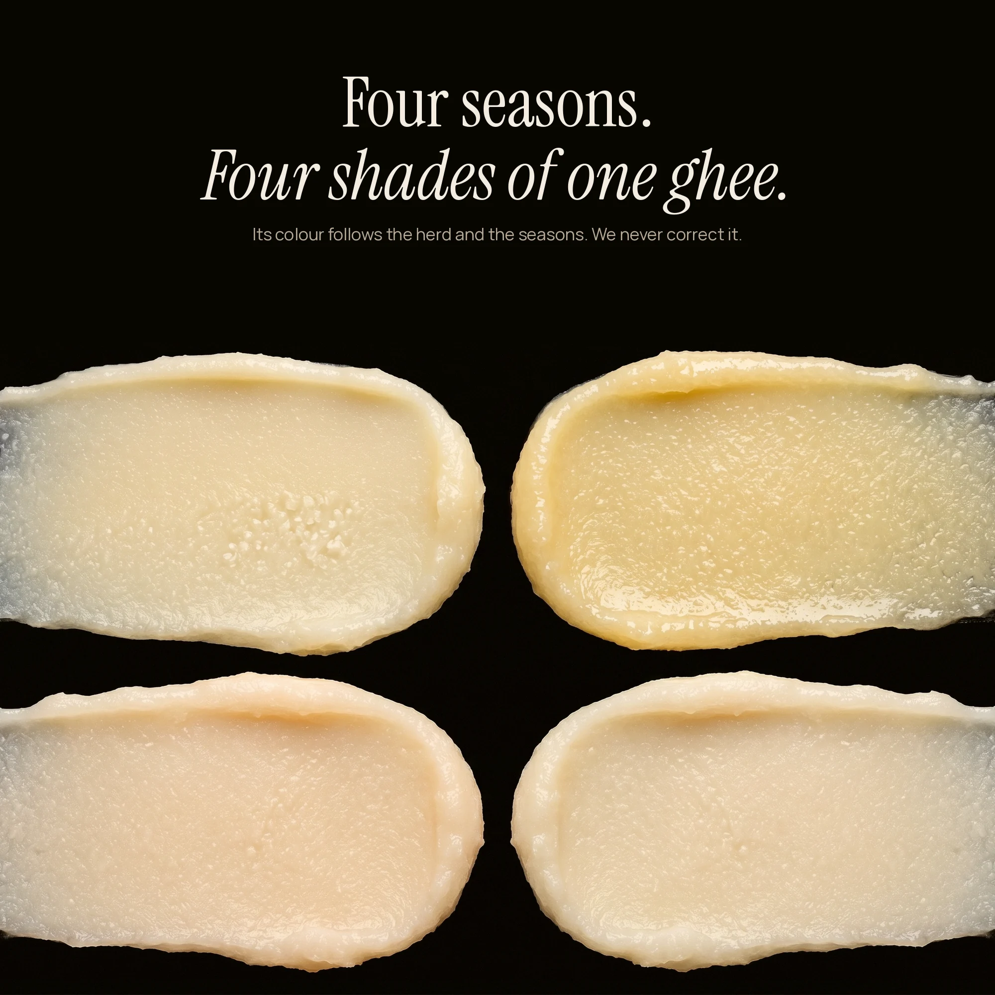 Four seasons, four shades of one ghee — colour varies with the herd and the seasons
