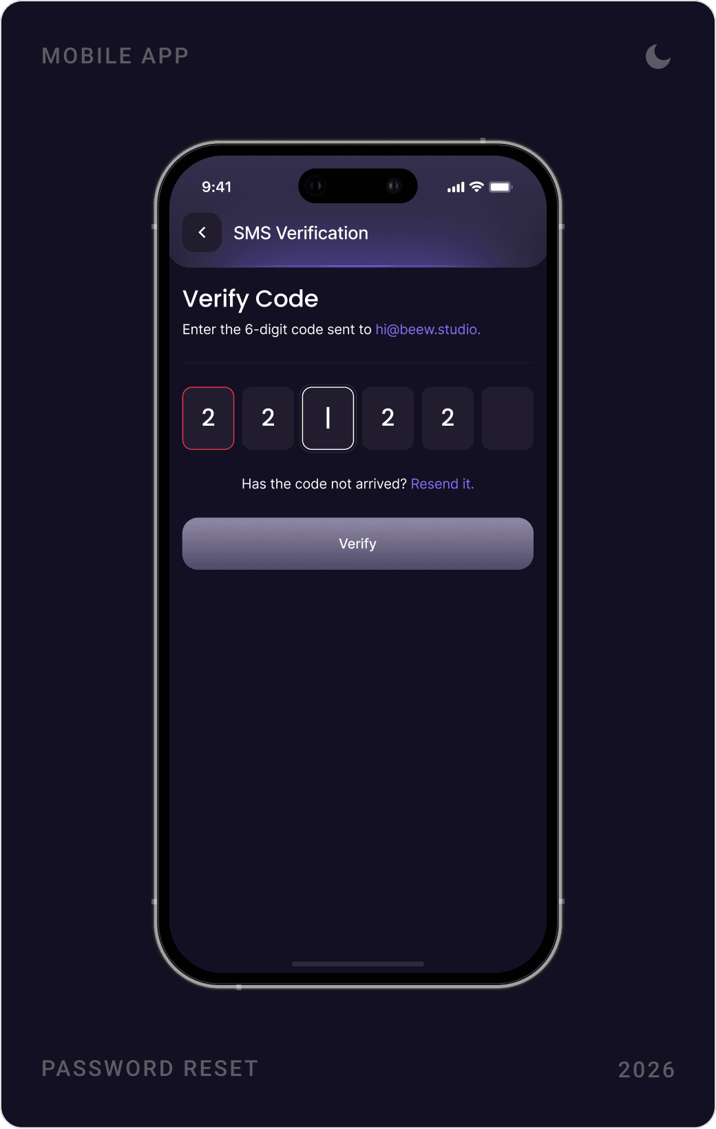 Professional SMS Verification Interface Design