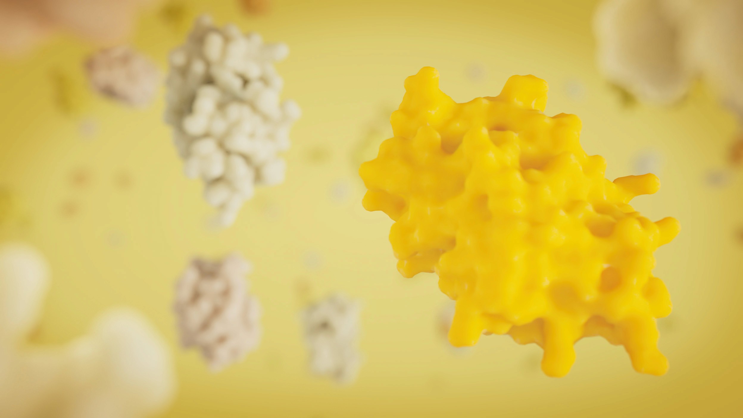 Bromelain molecule in the enzyme mixture
