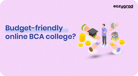 Budget-friendly online BCA college image 