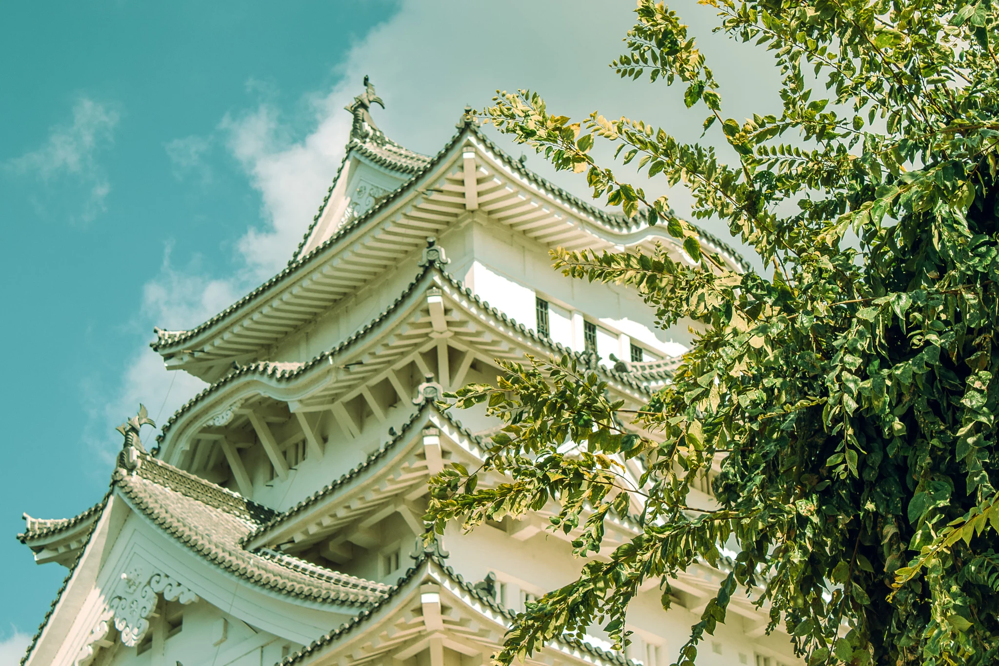 Himeji Castle in a sunny day behind a tree