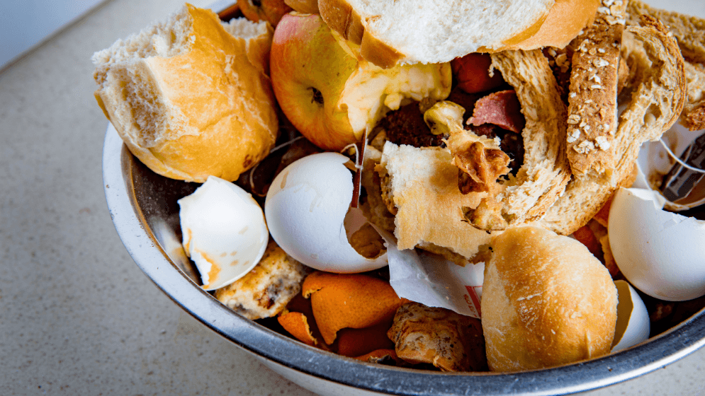 A bowl of food waste