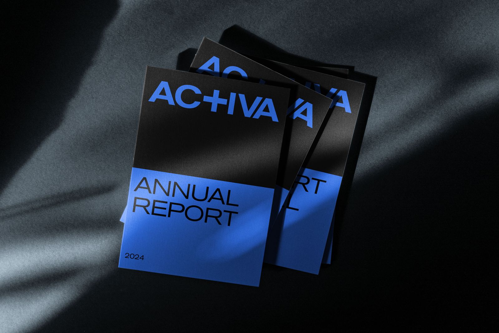 Sustainability Report Activa