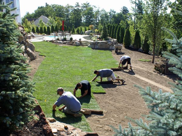 Landscaping & Design: Essential Tips for a Beautiful Outdoor Space