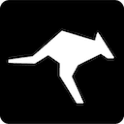 Roo Code
