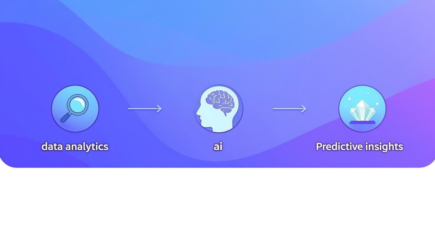 Infographic about ai and data analytics