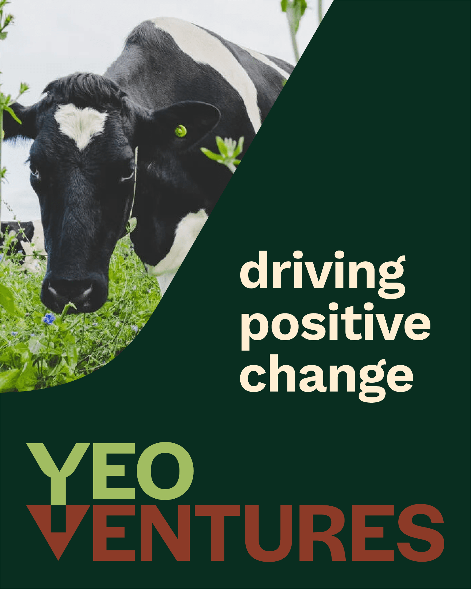 Yeo Ventures Driving Positive Change
