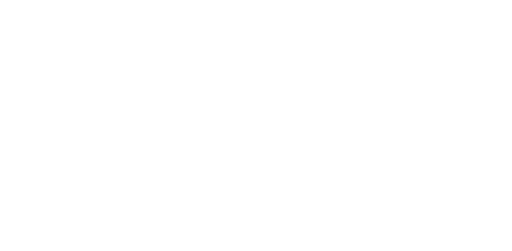 nero ai logo