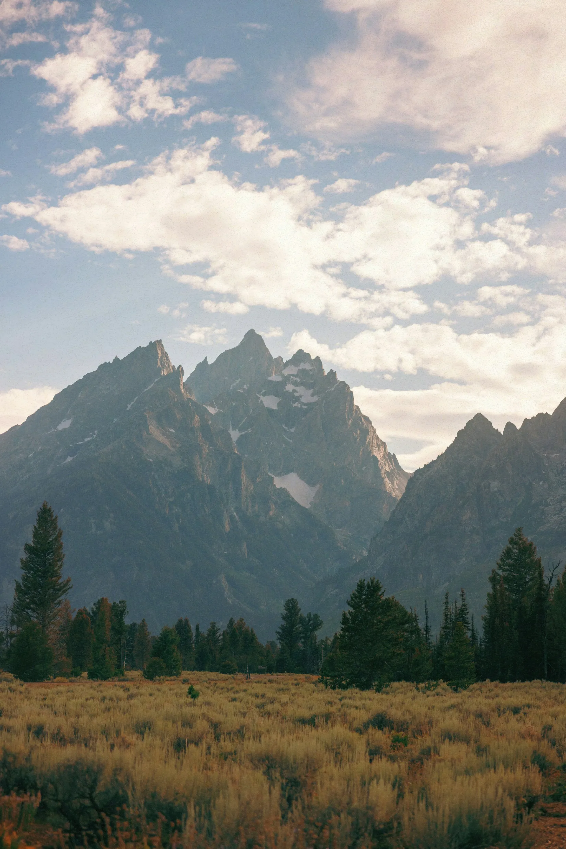 person in yellow shirt carrying brown surfboard walking on beach during daytime