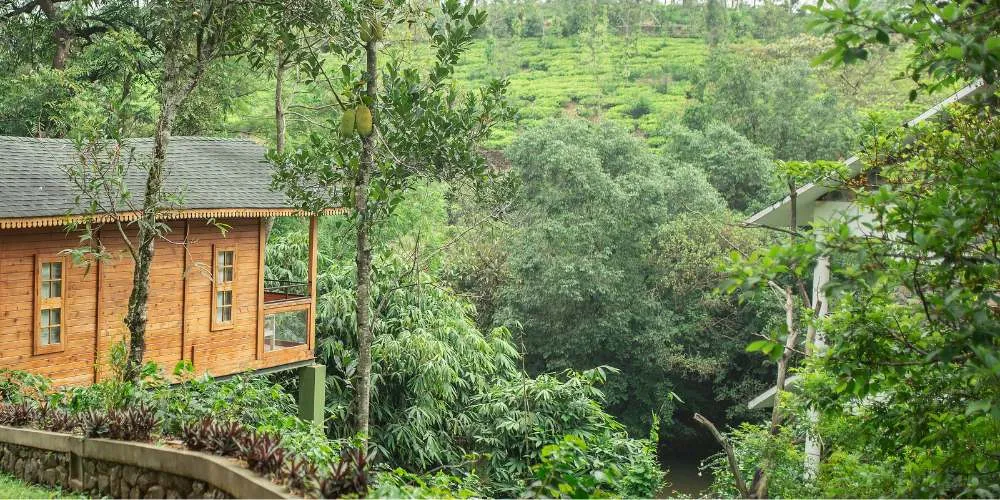 Monsoon in a Wooden Chalet - Why the Rain Makes It Even Better