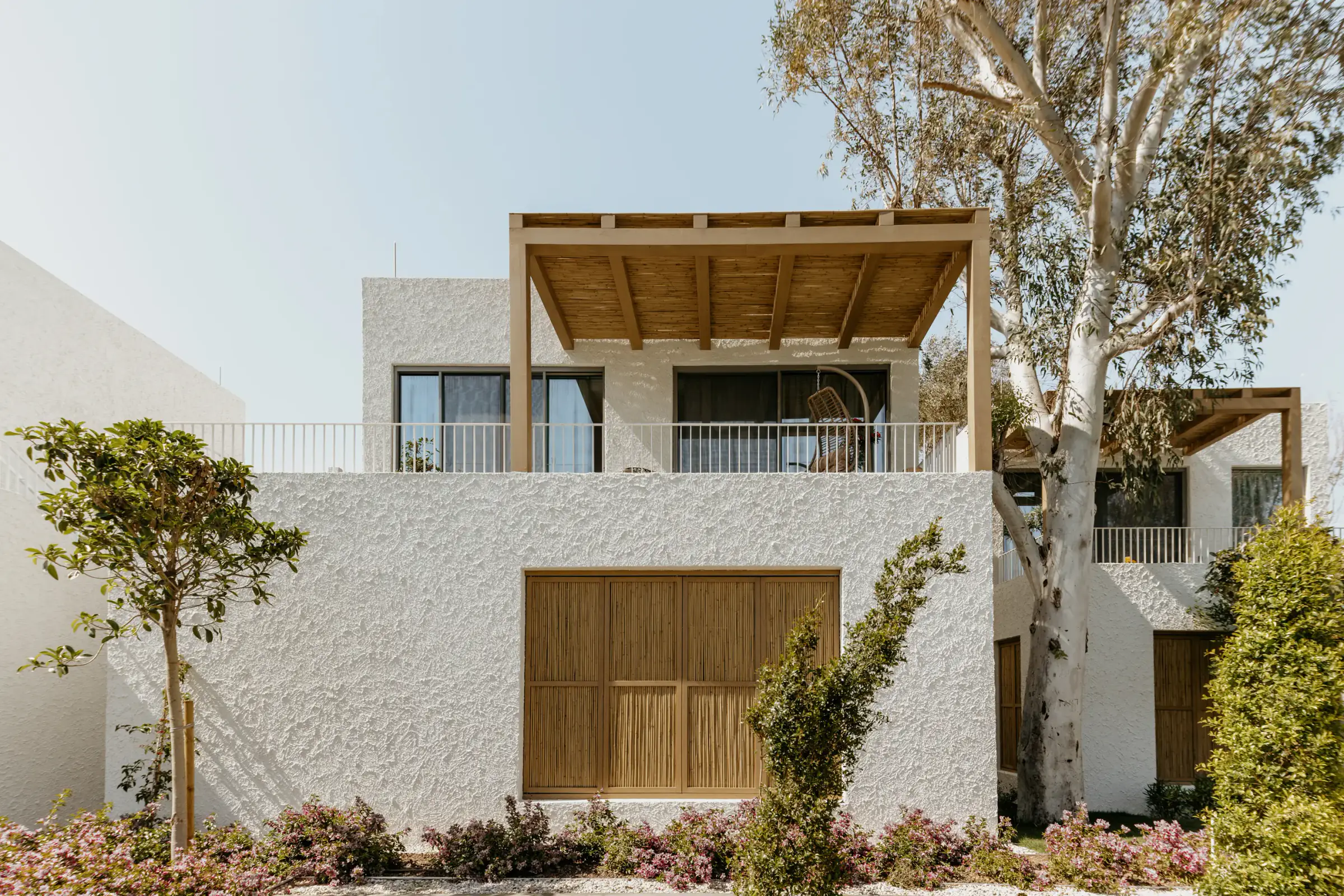 Villa with timber pergola and shutters beside a eucalyptus tree