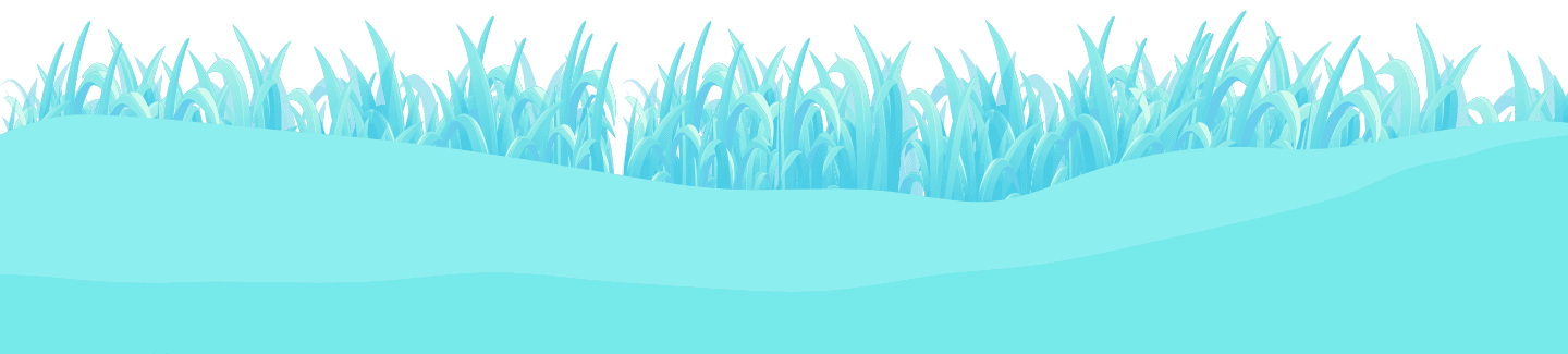 BG Grass