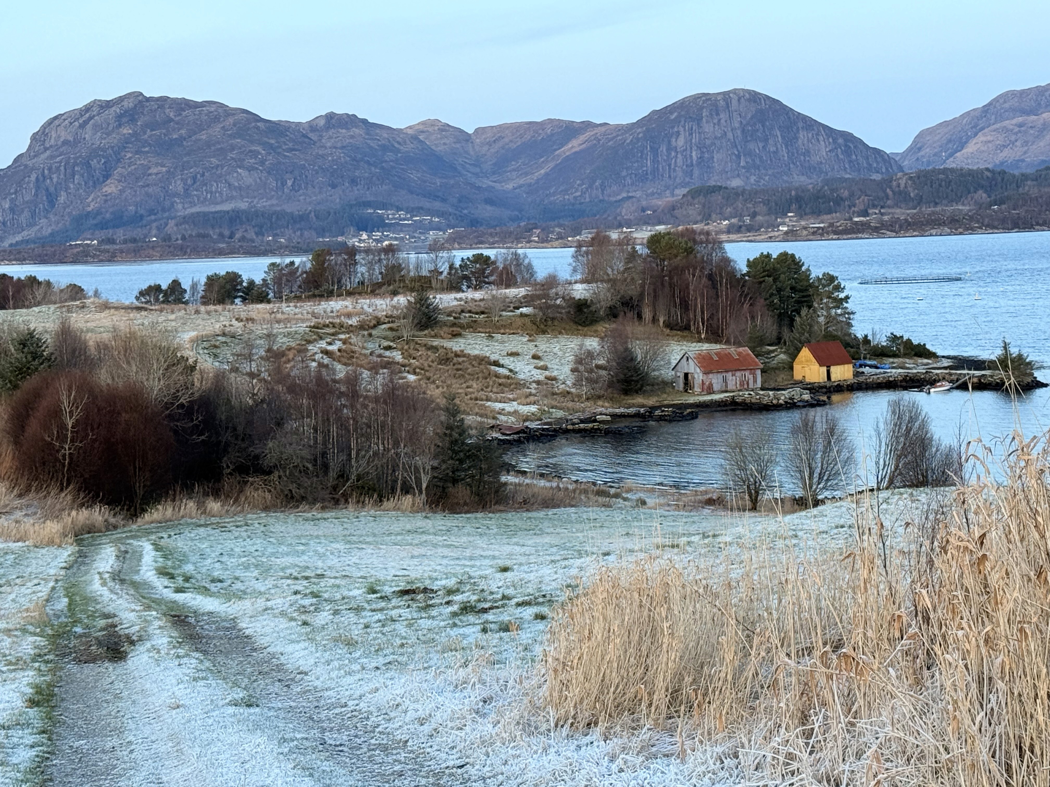Bilde av Dalsfjordbrua og Dalsfjorden med fjella i bakgrunnen. 