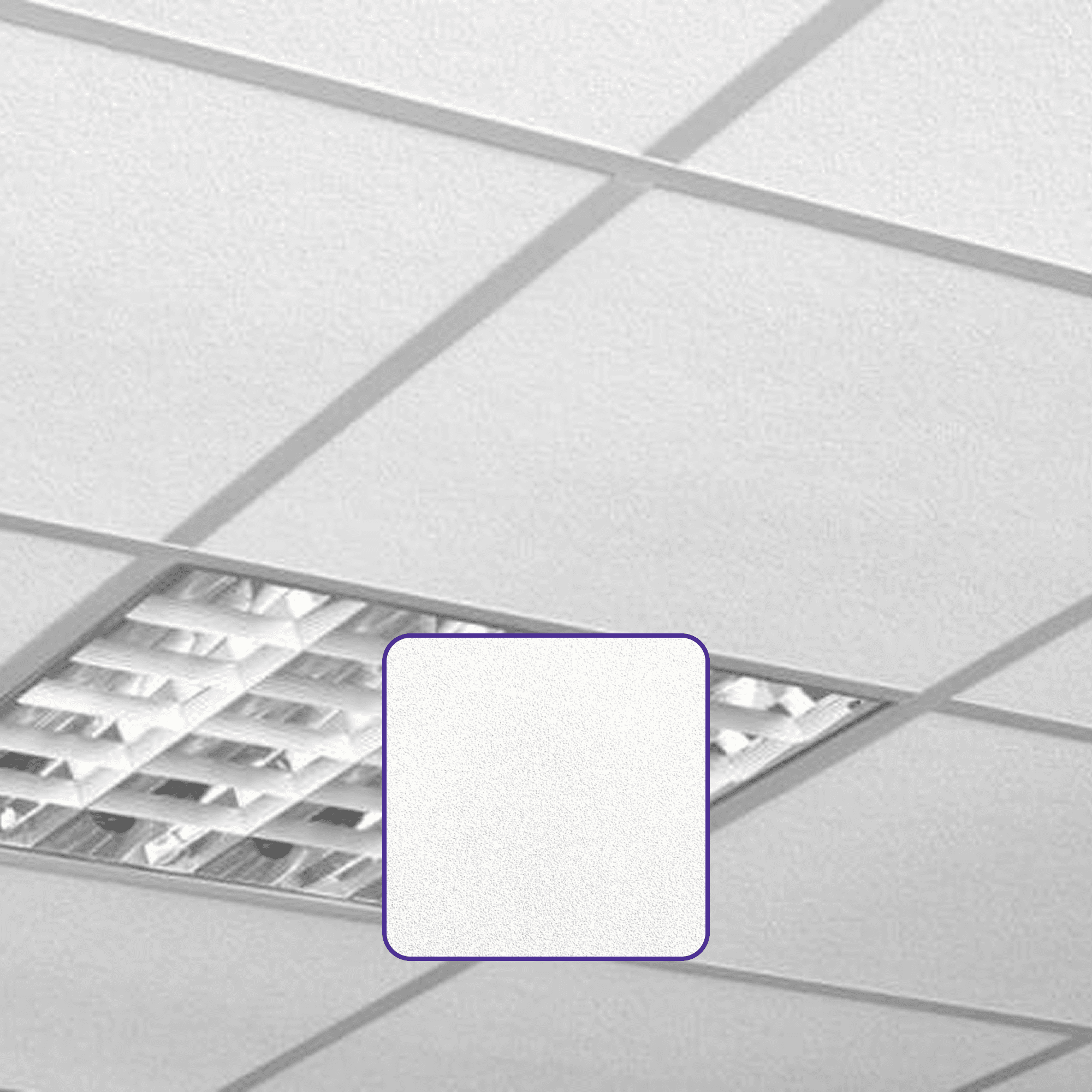 La Laguna coffee beans