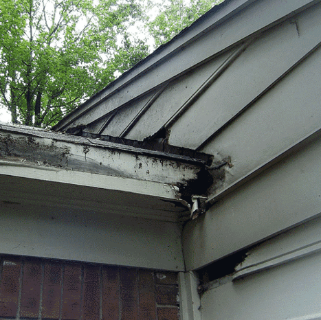 Profession Rot Repair Services in Marysville, WA