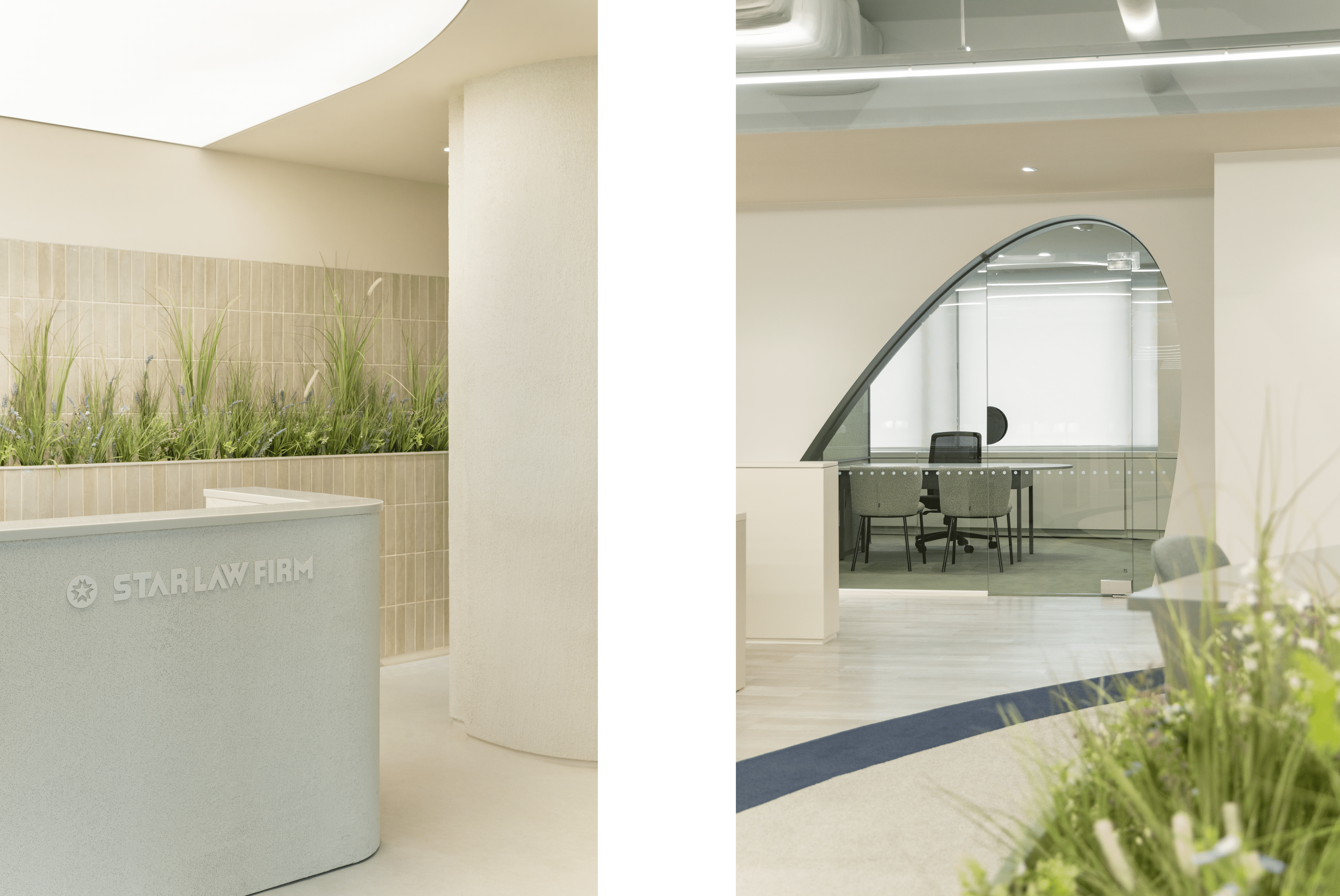 스타 법무법인 사무실 곳곳에 심긴 치유와 순수함의 상징 '라벤더'