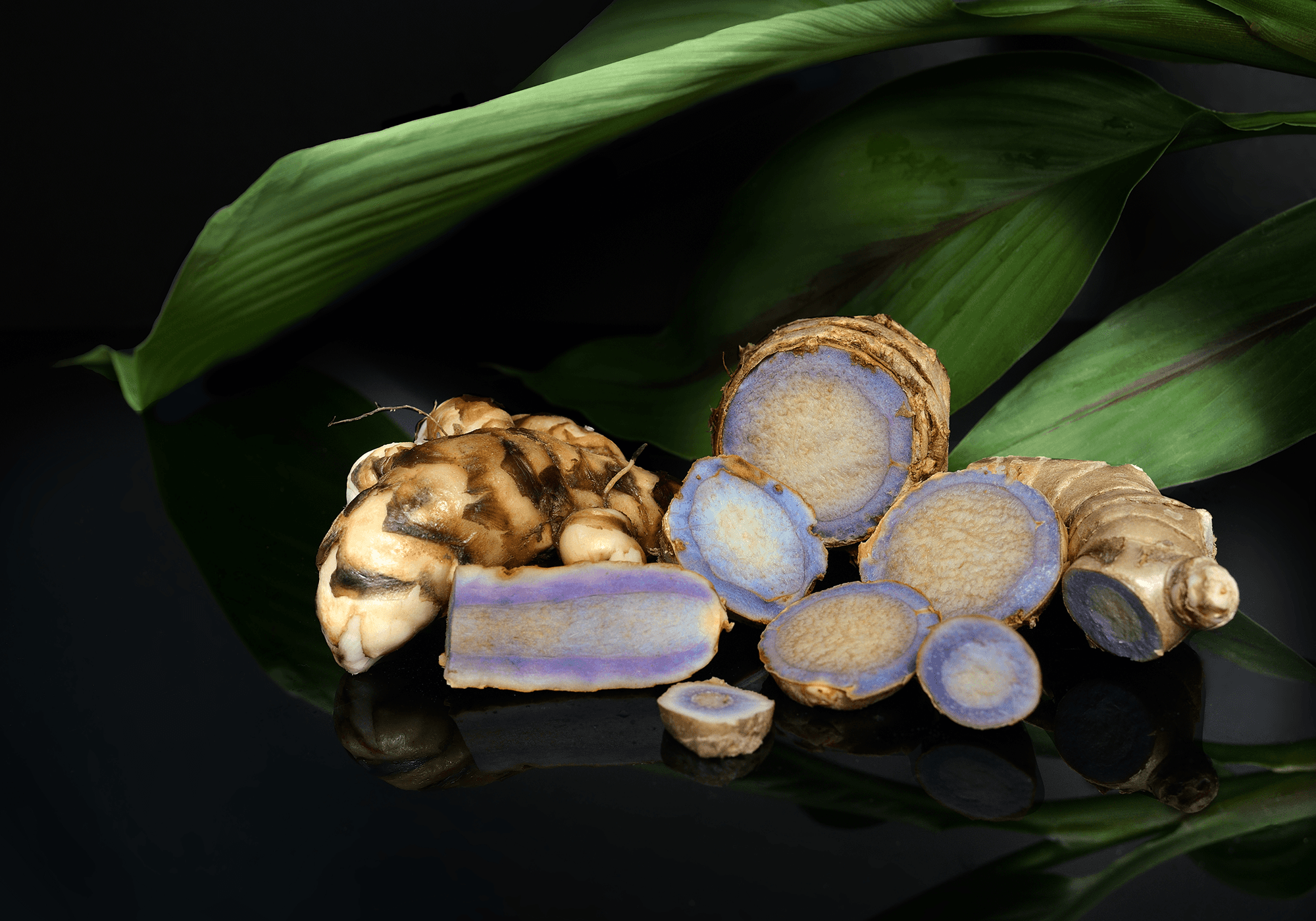 Kunyit hitam malaysia