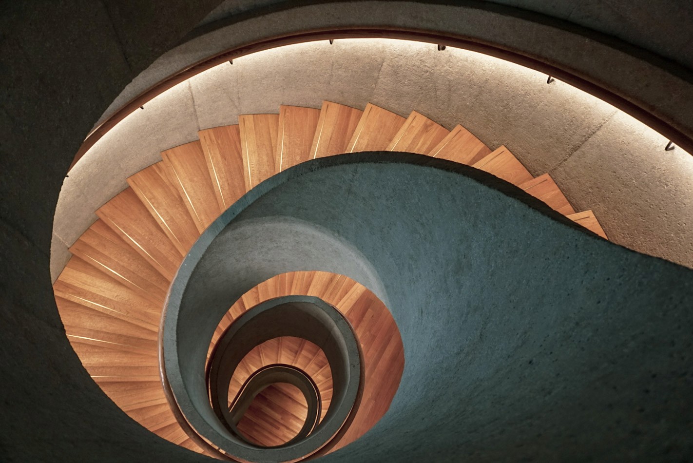 Downward view of a winding wooden spiral staircase framed by curved blue walls in a Milan contemporary gallery, photographed by Janice Chen.