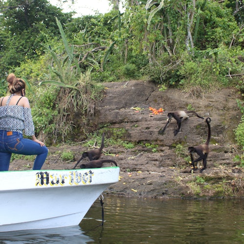 Đảo Khỉ Nhện Catemaco