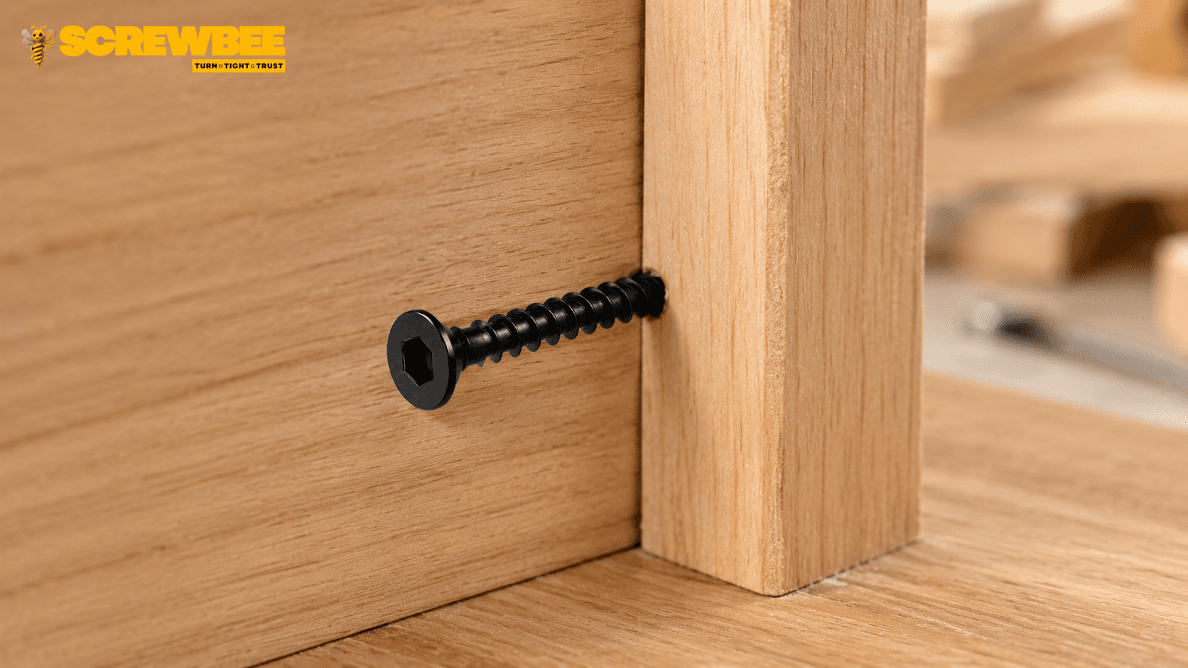 Flat Head Allen Screw used in cabinet assembly and furniture wood joint