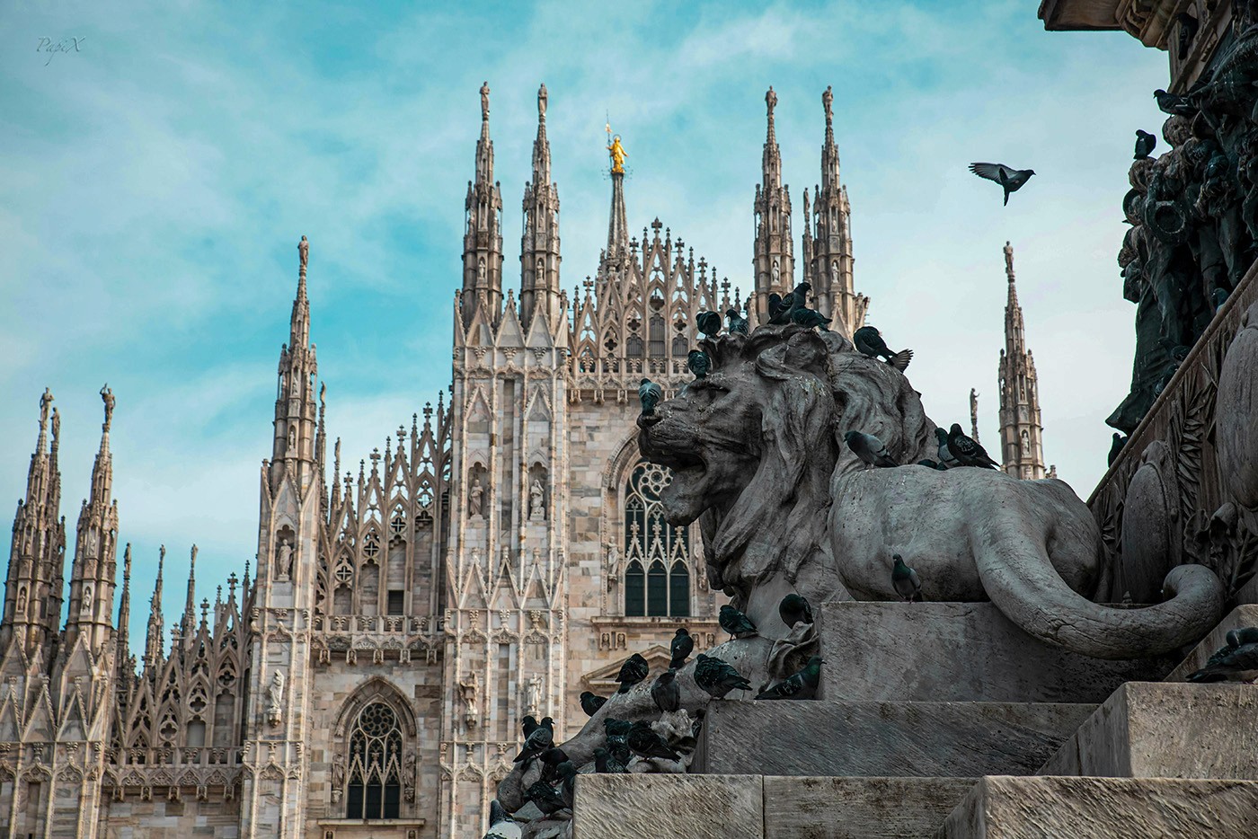 Picture of the Milan Cathedral with the lion in view