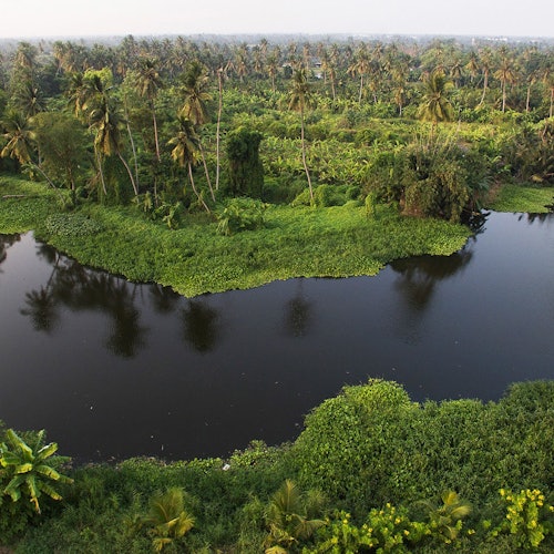 The nature surrounding the Thai local village