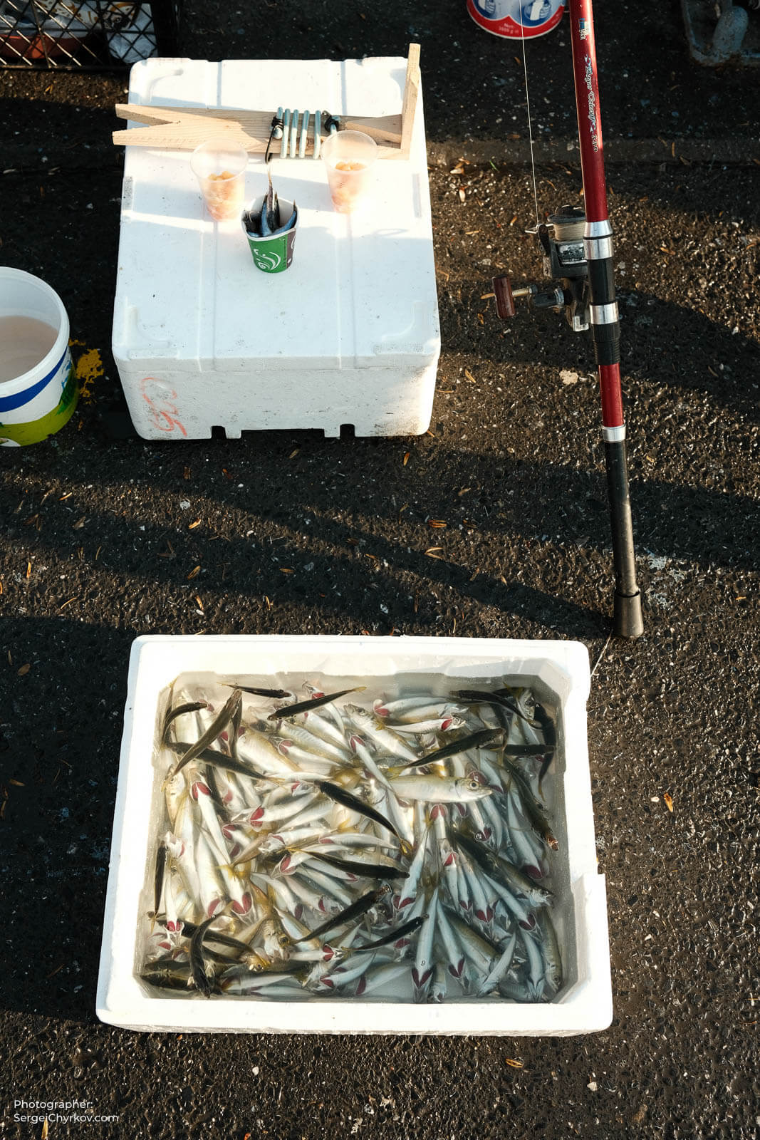 Istanbul, Turkey. January 2023. Photographer Sergei Chyrkov