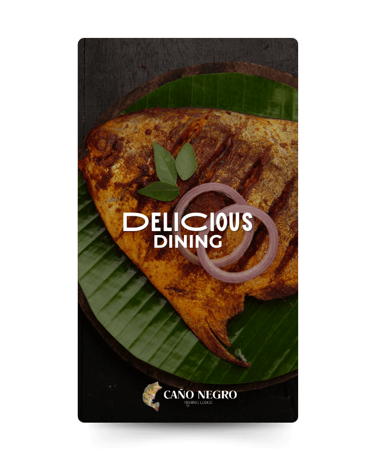 Delicious Dining