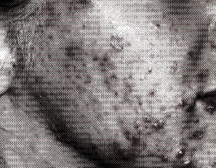 man riding a bicycle