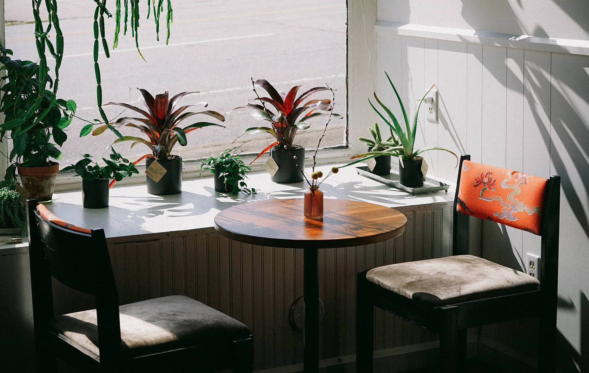 Seeker Coffee