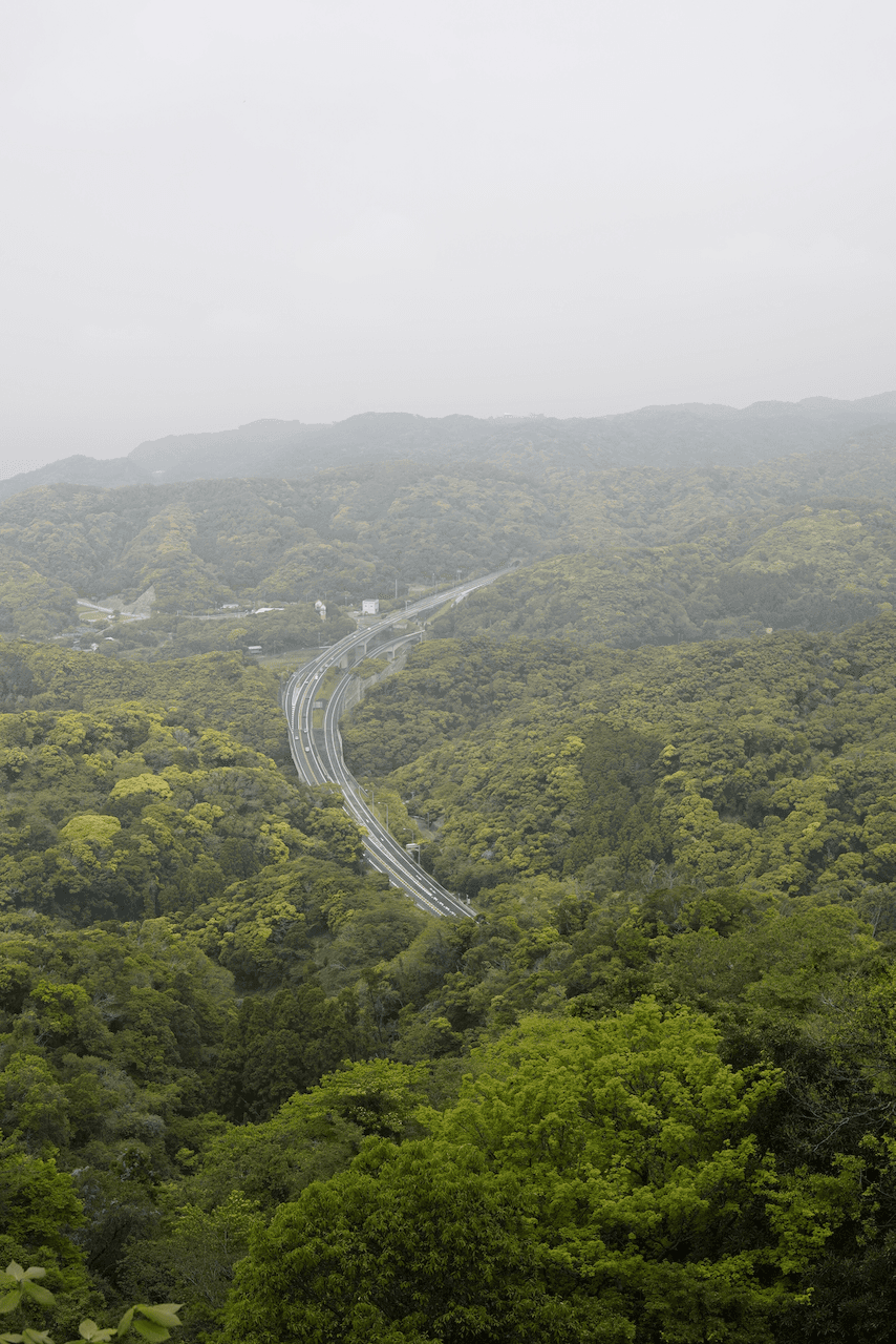 Hiking views on a misty day