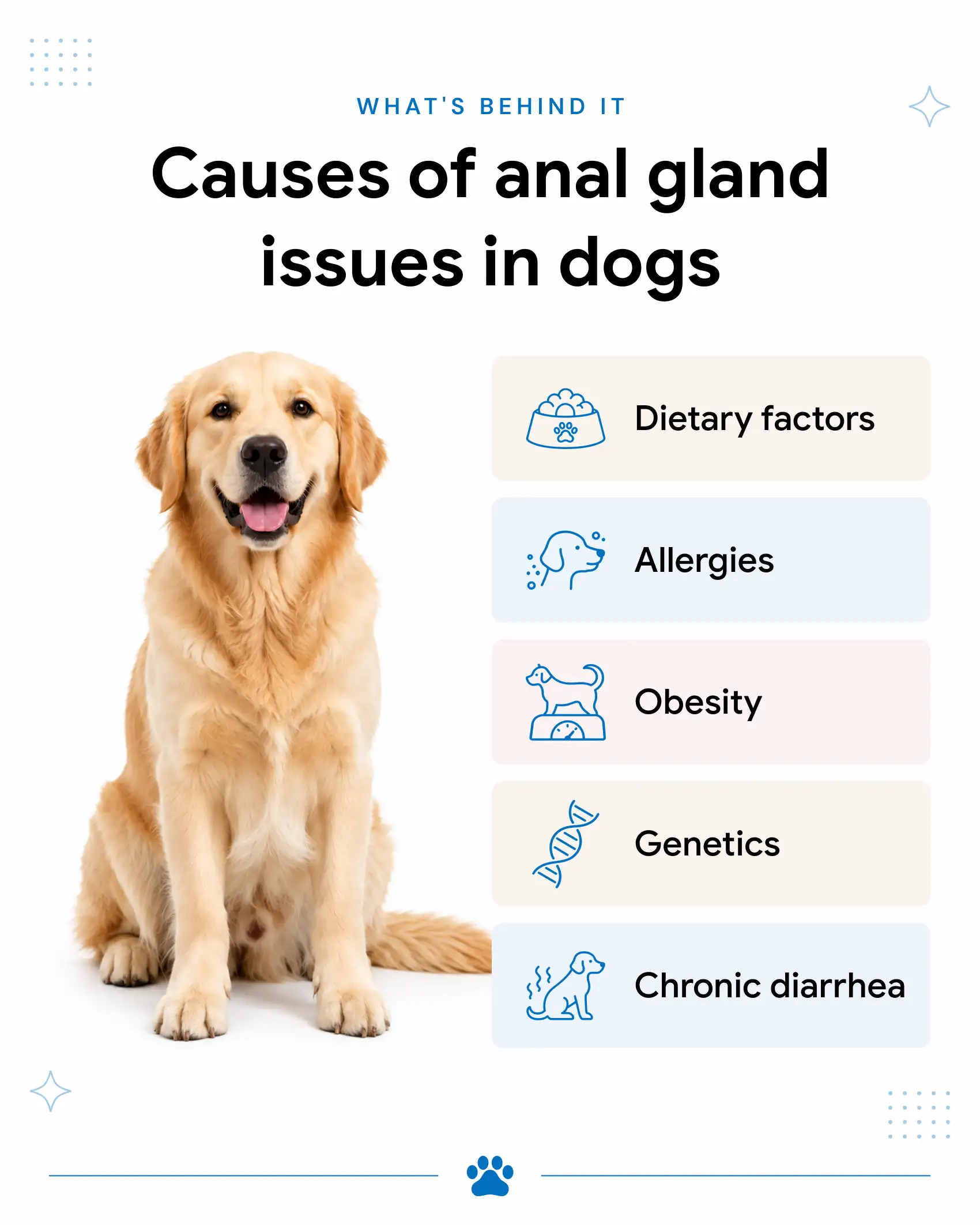 An infographic that highlights the causes of anal gland issues in dogs