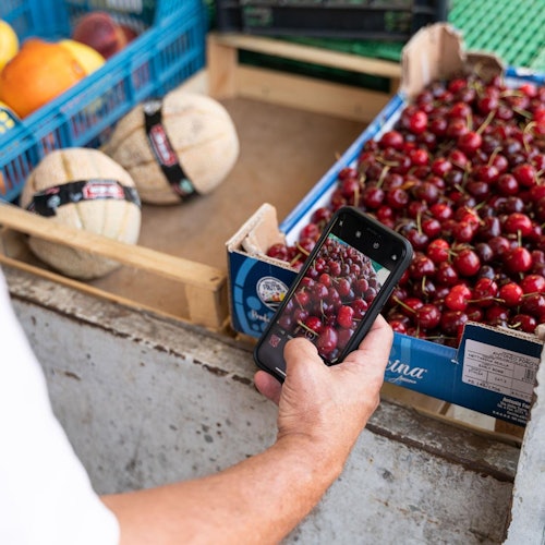 Admire local delicacies