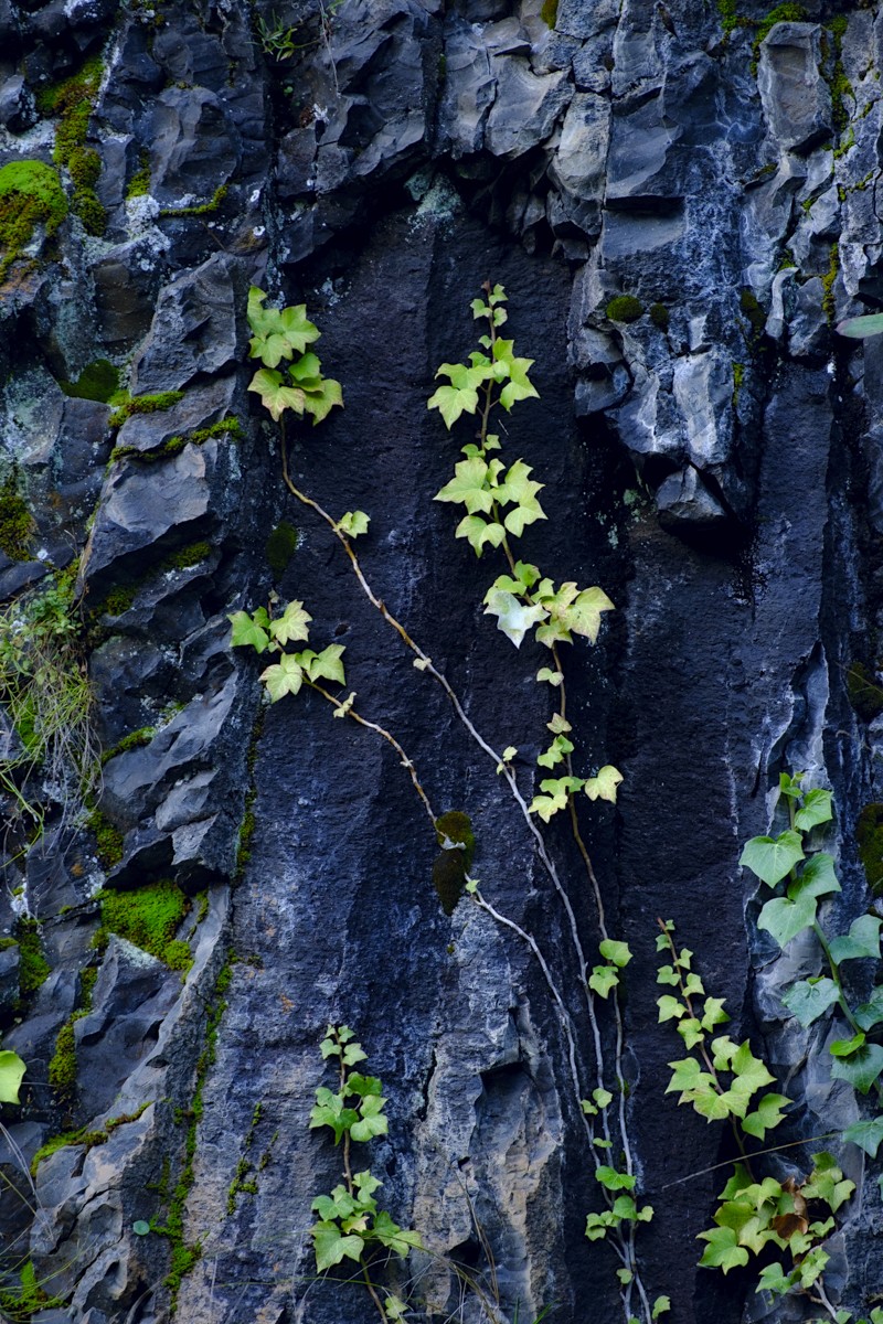 Basalt rock texture