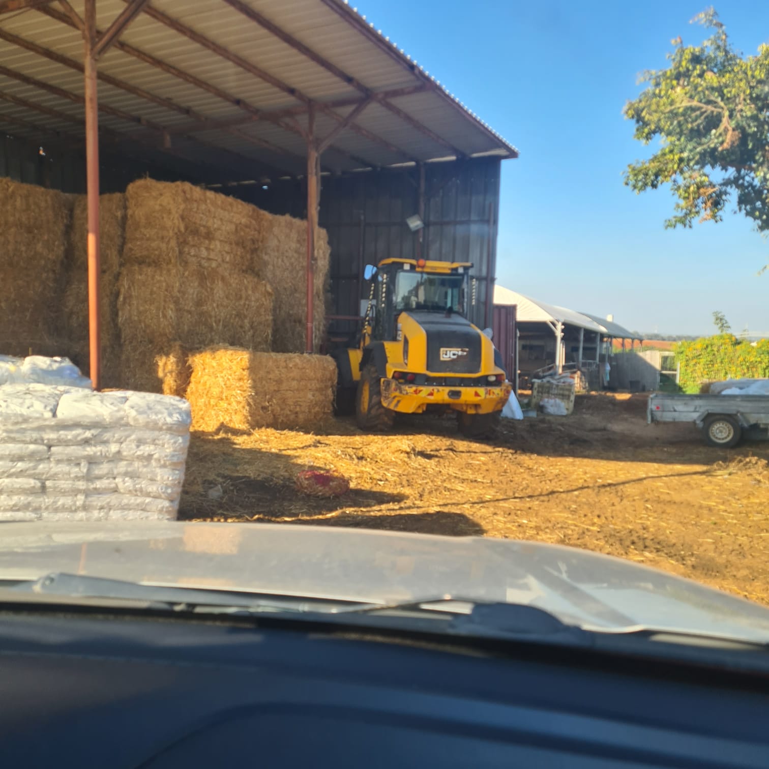 A modern house with large windows and a flat roof, surrounded by greenery against a clear blue sky.