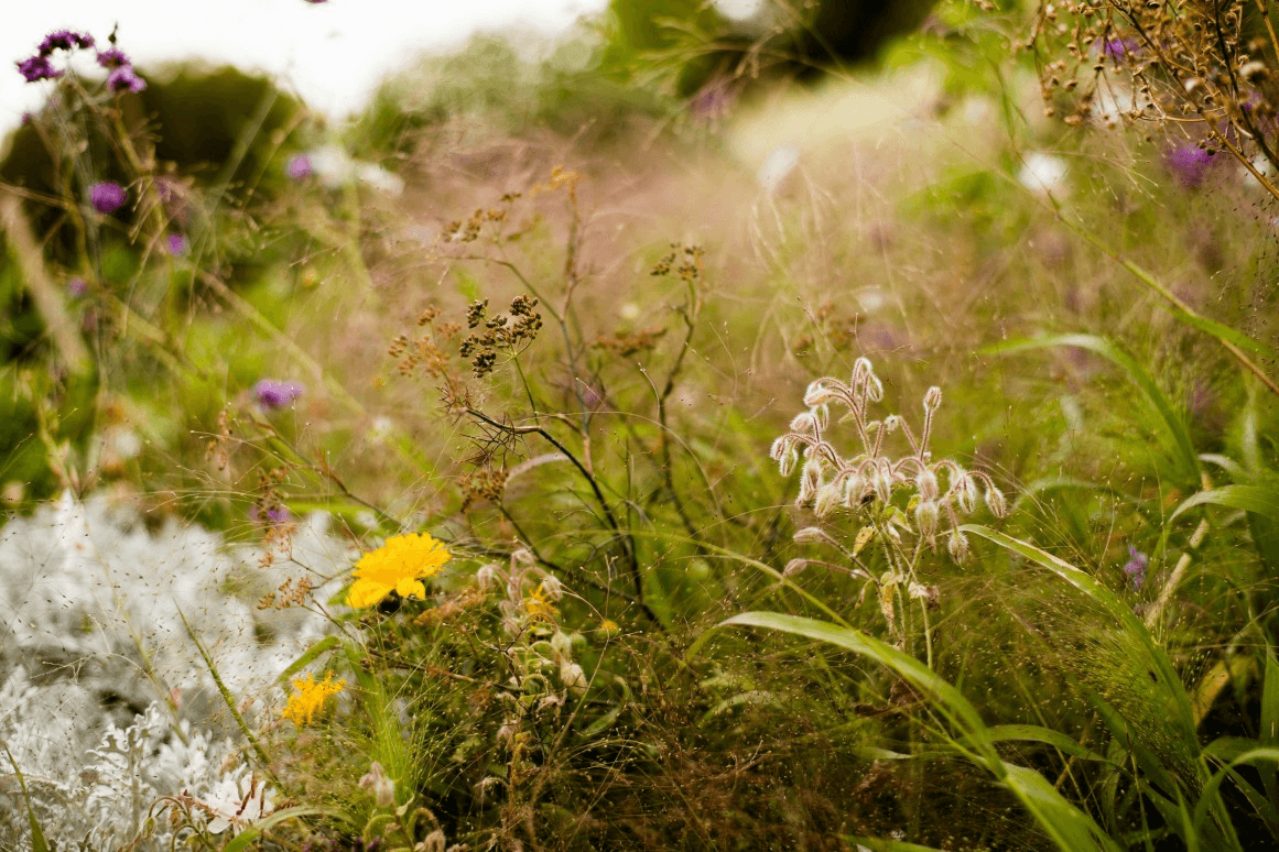 Jardin des Serres d’Auteuil: 19th-Century Greenhouse Paradise