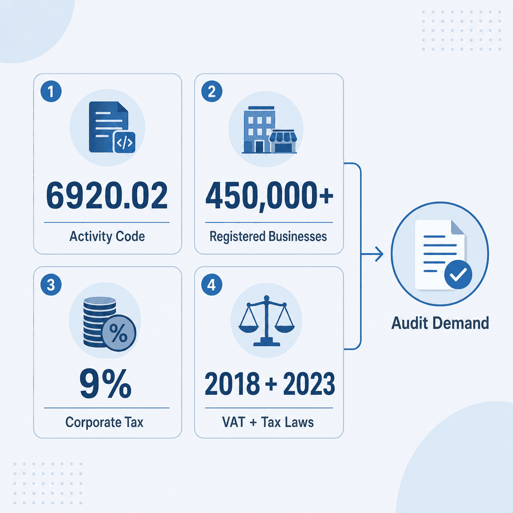 Infographic: Start a Preparation Or Auditing Of Financial Accounts Business in Dubai