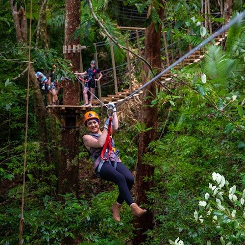Biglietti per Treetops Adventure - Cape Tribulation