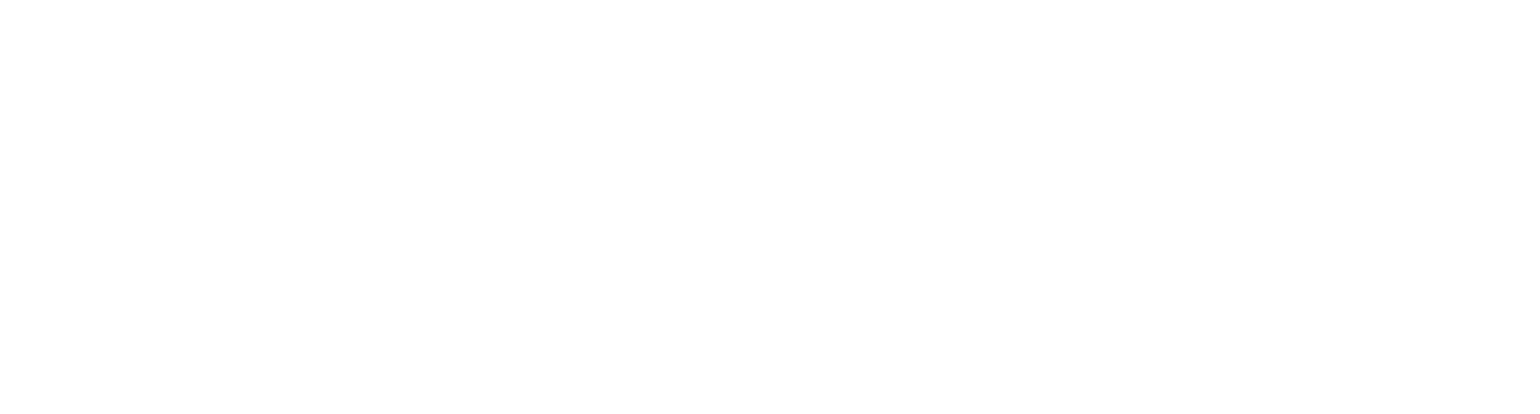 Mr Bricolage Logo