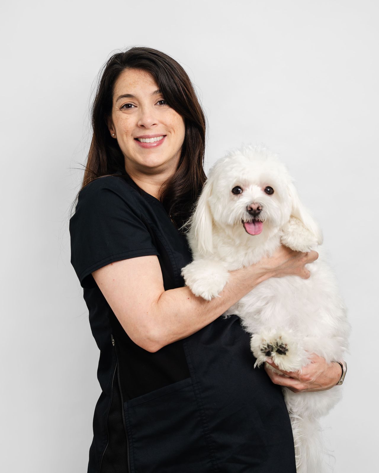 A veterinarian is holding a white dog during a checkup.