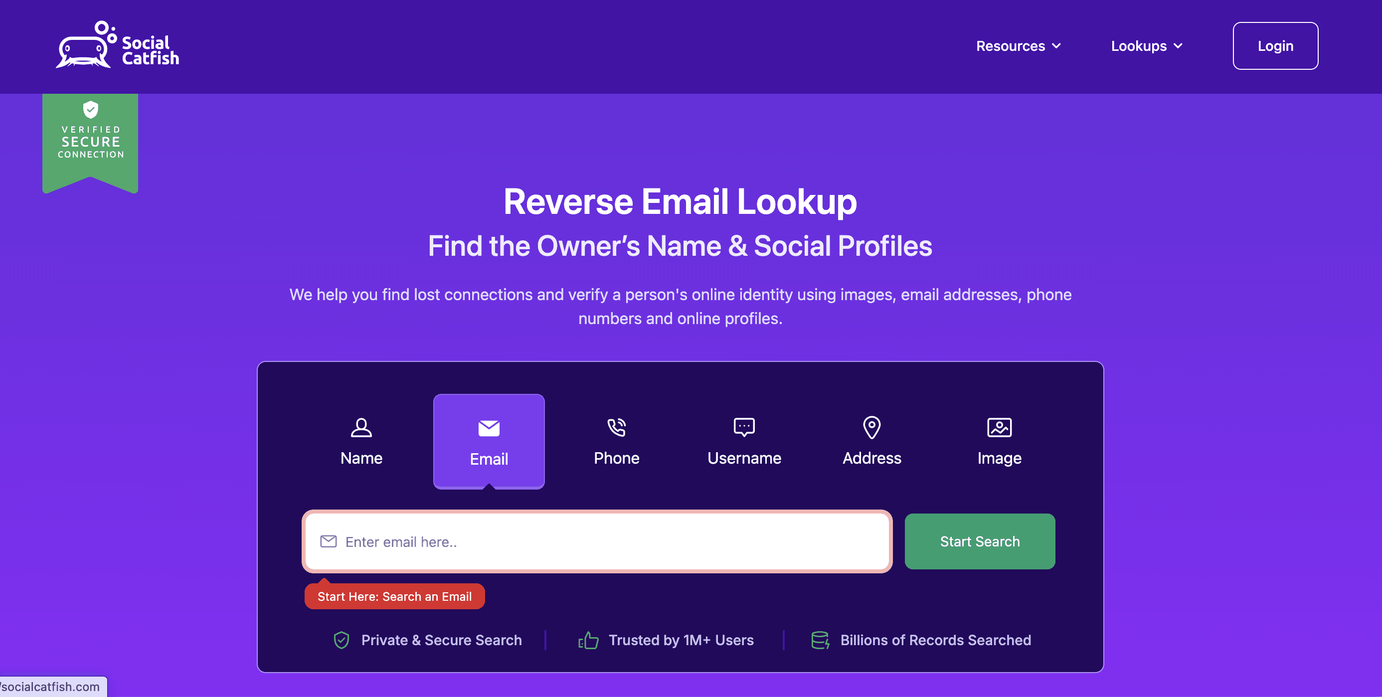 Social catfish landing page