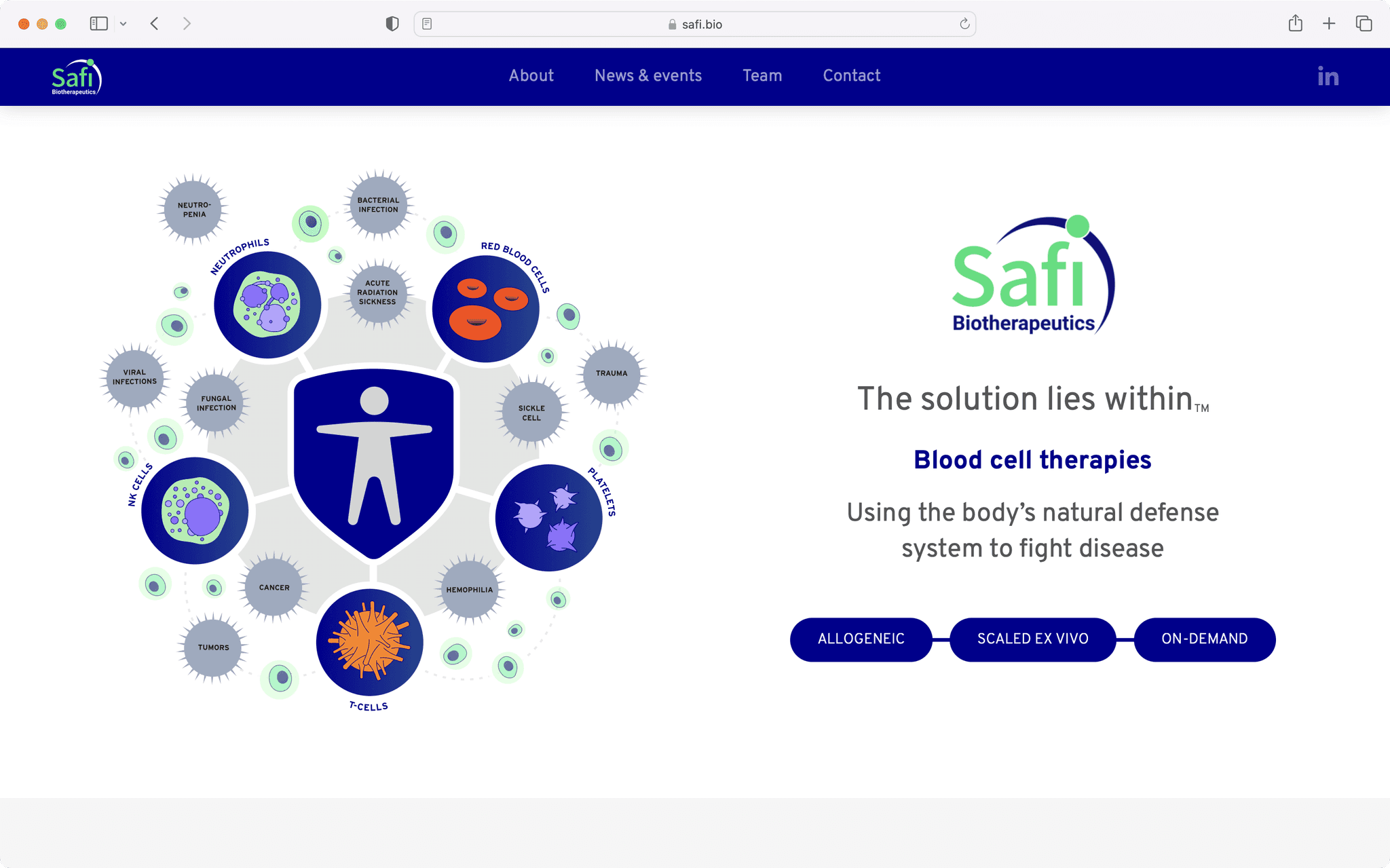 Safi Biotherapeutics Image