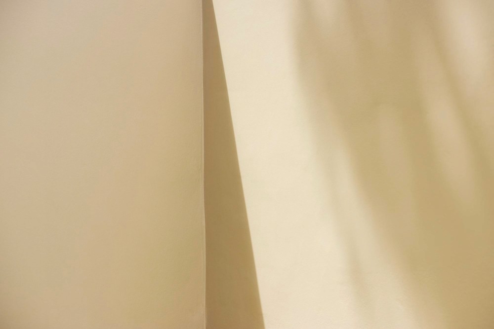 Close-up portrait of a person in natural lighting.