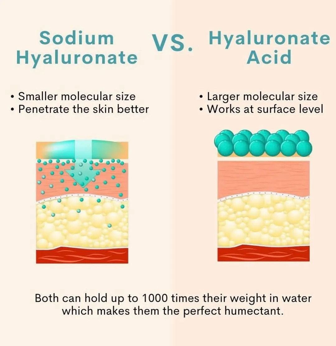 Difference Between Hyaluronic Acid and Sodium Hyaluronate