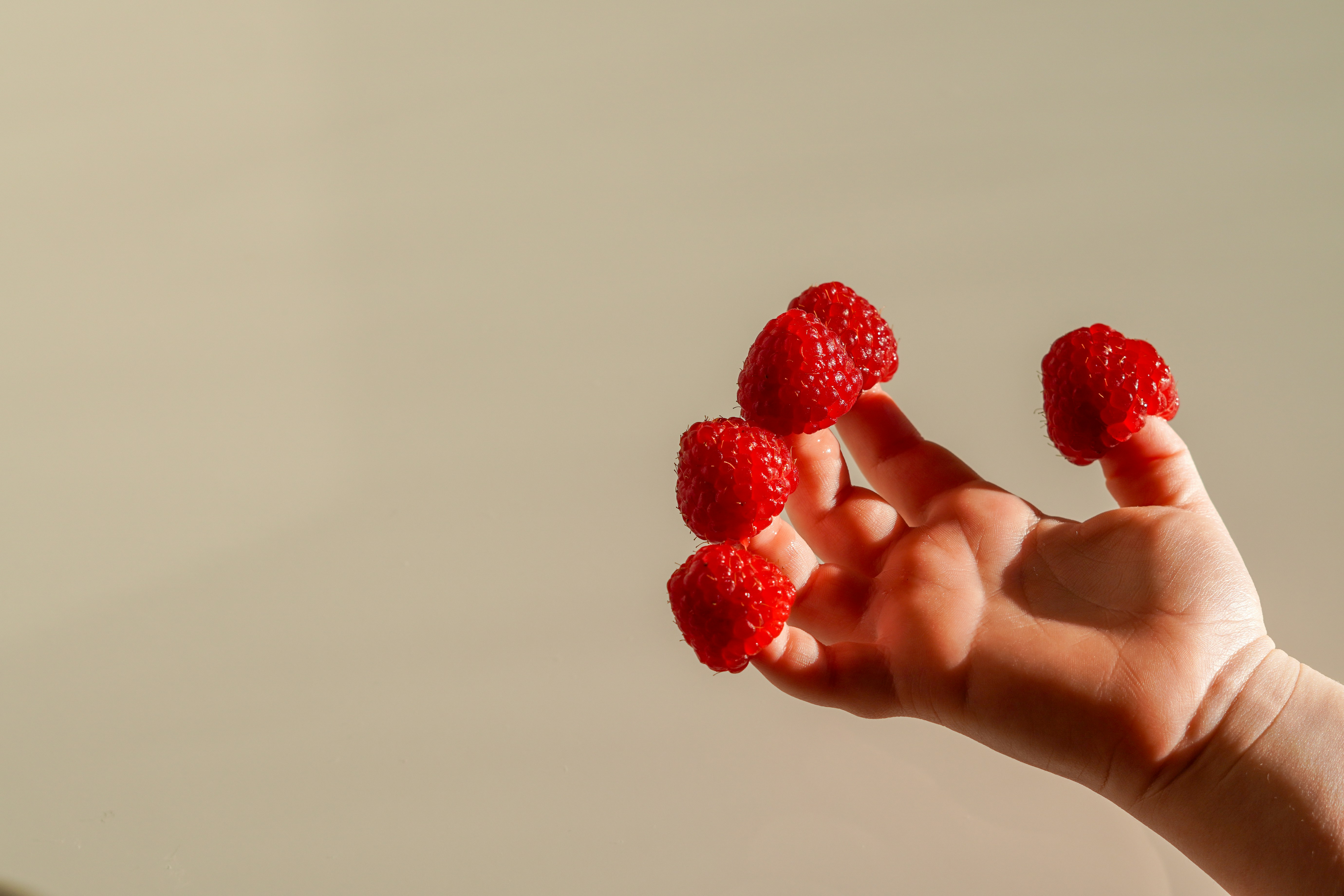 a person holding raspberries in their hand