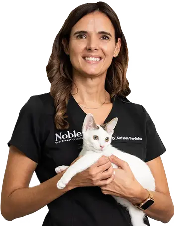 Dr. Mafalda Sardinha: Veterinary Surgeon | Medical Director at Jumeirah Branch